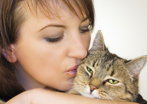 Głaskanie kota obniża ciśnienie – co jeszcze zawdzięczamy kotom?